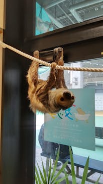 アニタッチ 東京ドームシティに投稿された画像（2025/3/13）