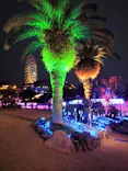 ひらかたパークに投稿された画像（2025/3/13）