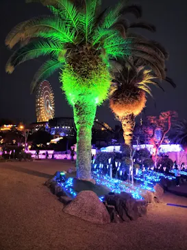 ひらかたパークに投稿された画像（2025/3/13）