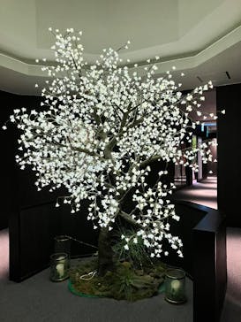 三田天然温泉　寿ノ湯に投稿された画像（2025/3/13）