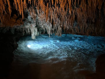 おきなわワールドに投稿された画像（2025/3/13）