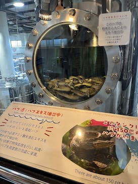 おきなわワールドに投稿された画像（2025/3/13）