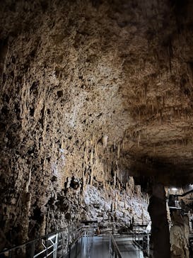 おきなわワールドに投稿された画像（2025/3/13）