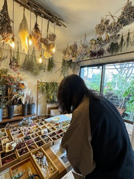 une graine（アングレンヌ）に投稿された画像（2025/3/13）