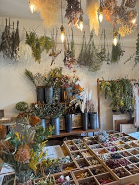 une graine（アングレンヌ）に投稿された画像（2025/3/13）