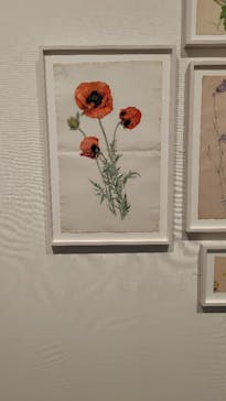 ヒルマ・アフ・クリント展（東京国立近代美術館）に投稿された画像（2025/3/13）