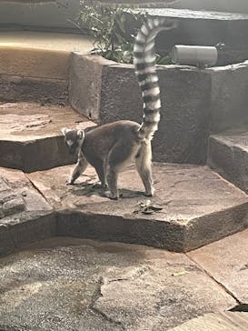 NIFREL（ニフレル）に投稿された画像（2025/3/13）