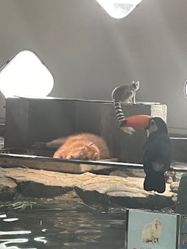 NIFREL（ニフレル）に投稿された画像（2025/3/13）