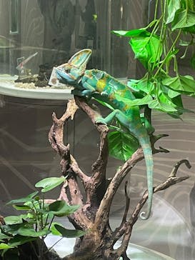 NIFREL（ニフレル）に投稿された画像（2025/3/13）