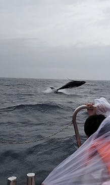 マリンクラブ ベリー 那覇店に投稿された画像（2025/3/13）