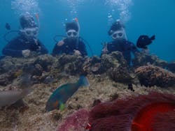 OceanStudioに投稿された画像（2025/3/13）