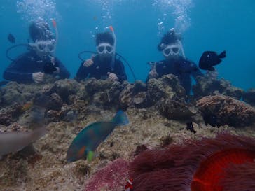 OceanStudioに投稿された画像（2025/3/13）