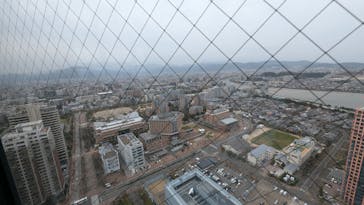 福岡タワーに投稿された画像（2025/3/13）