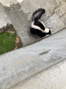 霞ケ浦 どうぶつとみんなのいえに投稿された画像（2025/3/13）