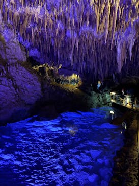 おきなわワールドに投稿された画像（2025/3/13）