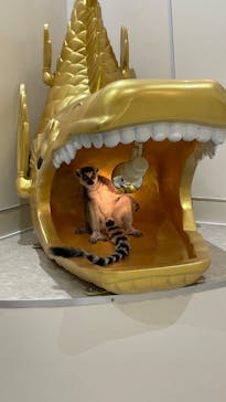 アニタッチららぽーと名古屋みなとアクルスに投稿された画像（2025/3/13）