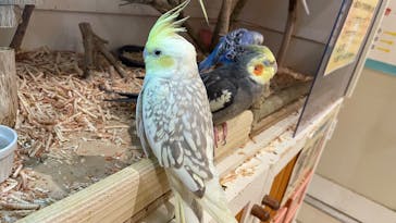 アニタッチららぽーと名古屋みなとアクルスに投稿された画像（2025/3/13）