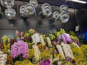 世界らん展2026-花と緑の祭典-に投稿された画像（2025/3/14）