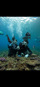 武藤潜水に投稿された画像（2025/3/14）