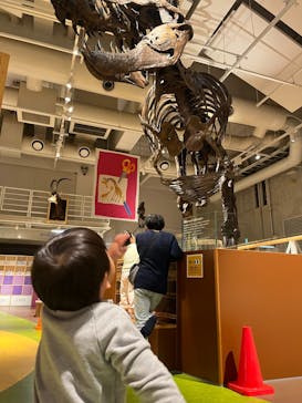 国立科学博物館に投稿された画像（2025/3/14）