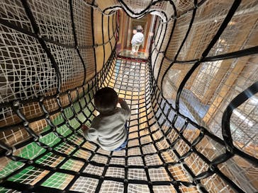 国立科学博物館に投稿された画像（2025/3/14）