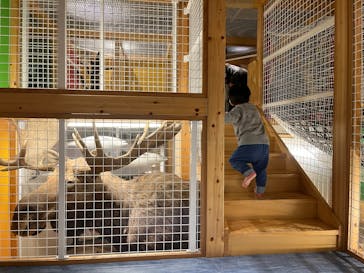 国立科学博物館に投稿された画像（2025/3/14）