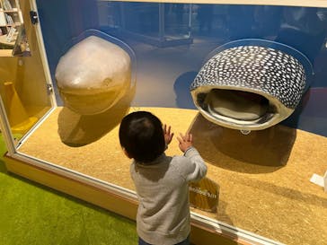 国立科学博物館に投稿された画像（2025/3/14）