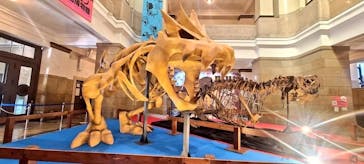 国立科学博物館　特別企画展「ポケモン化石博物館」に投稿された画像（2025/3/14）