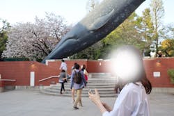 国立科学博物館　特別企画展「ポケモン化石博物館」に投稿された画像（2025/3/14）