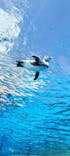 サンシャイン水族館に投稿された画像（2025/3/14）