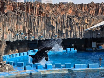 名古屋港水族館に投稿された画像（2025/3/14）