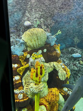 レゴランドⓇ・ジャパン・リゾートに投稿された画像（2025/3/14）