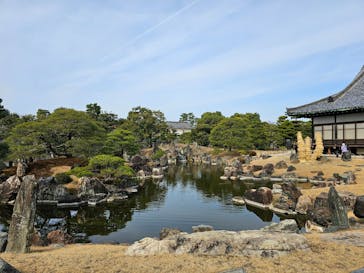 元離宮二条城に投稿された画像（2025/3/14）