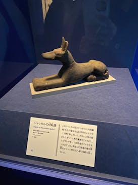 ブルックリン博物館所蔵 特別展 古代エジプトに投稿された画像（2025/3/14）