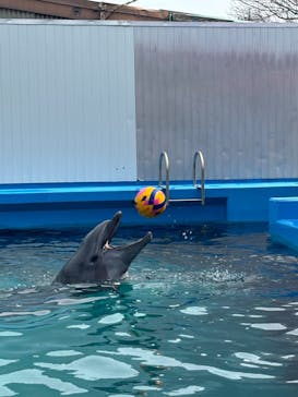 ゼロ距離水族館 伊勢シーパラダイスに投稿された画像（2025/3/14）