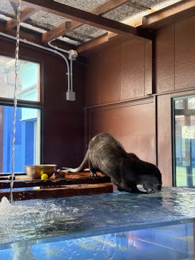 ゼロ距離水族館 伊勢シーパラダイスに投稿された画像（2025/3/14）