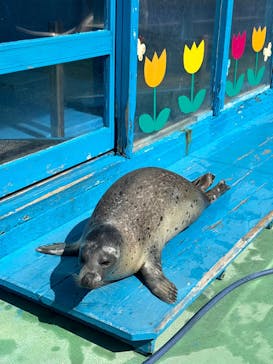 ゼロ距離水族館 伊勢シーパラダイスに投稿された画像（2025/3/14）