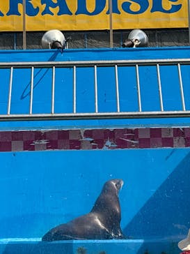 ゼロ距離水族館 伊勢シーパラダイスに投稿された画像（2025/3/14）