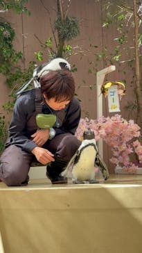 マクセル アクアパーク品川に投稿された画像（2025/3/14）