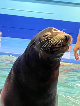ゼロ距離水族館 伊勢シーパラダイスに投稿された画像（2025/3/14）