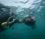 青の洞窟専門店　沖縄ダイビングショップ和に投稿された画像（2025/3/14）