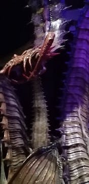 金曜ロードショーとジブリ展　三重展に投稿された画像（2025/3/14）