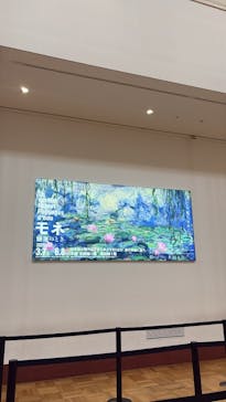 モネ　睡蓮のときに投稿された画像（2025/3/14）