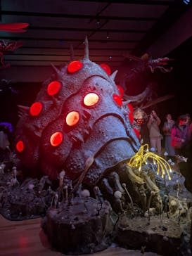 金曜ロードショーとジブリ展　三重展に投稿された画像（2025/3/14）