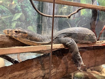 天王寺動物園に投稿された画像（2025/3/14）