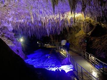 おきなわワールドに投稿された画像（2025/3/14）