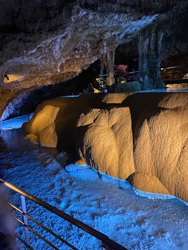 おきなわワールドに投稿された画像（2025/3/14）