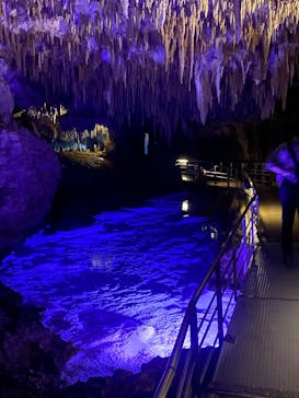 おきなわワールドに投稿された画像（2025/3/14）