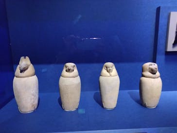 ブルックリン博物館所蔵 特別展 古代エジプトに投稿された画像（2025/3/14）