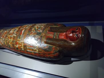 ブルックリン博物館所蔵 特別展 古代エジプトに投稿された画像（2025/3/14）